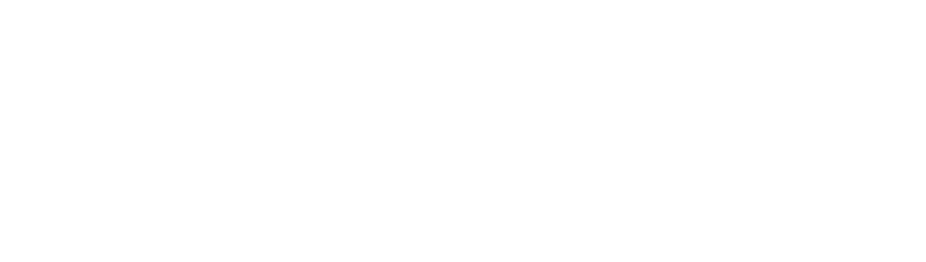 The Empire Plan — New York State